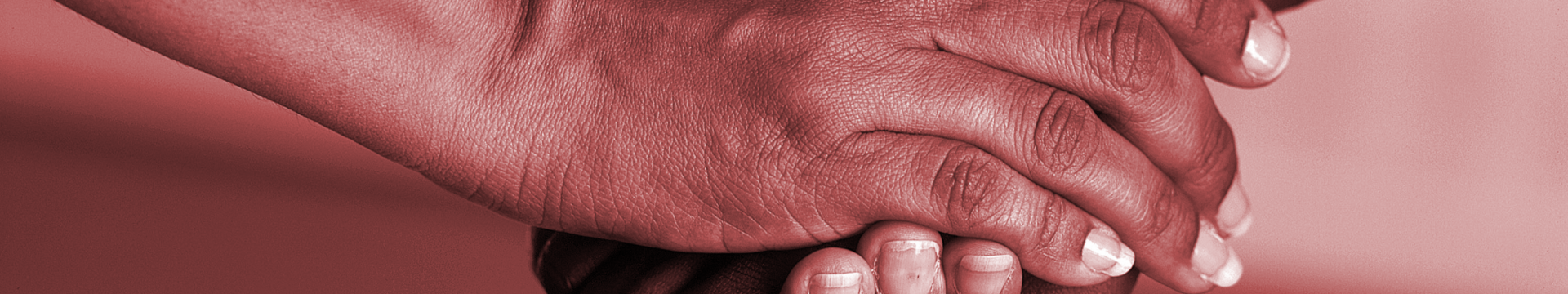 Programs & Committees