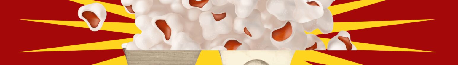 Double Good Popcorn Flash Sale